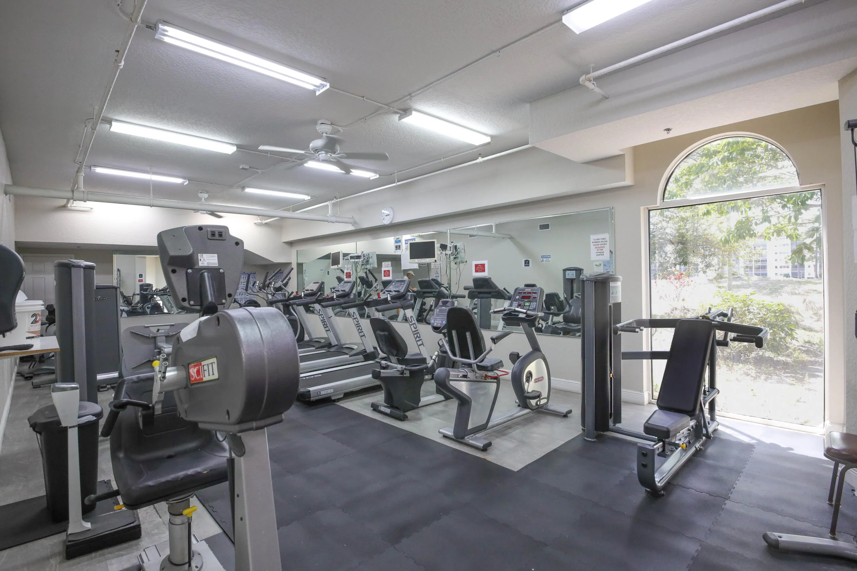 GYM