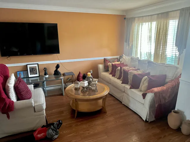 hidden liv room