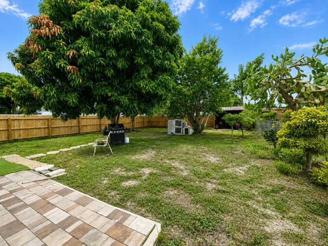 Backyard