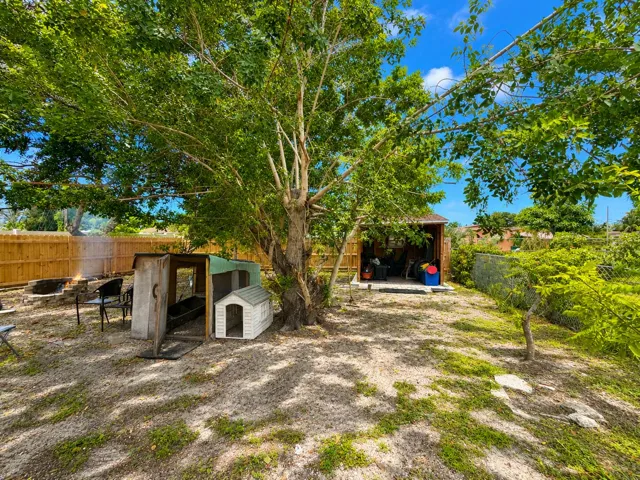 Backyard - 1410