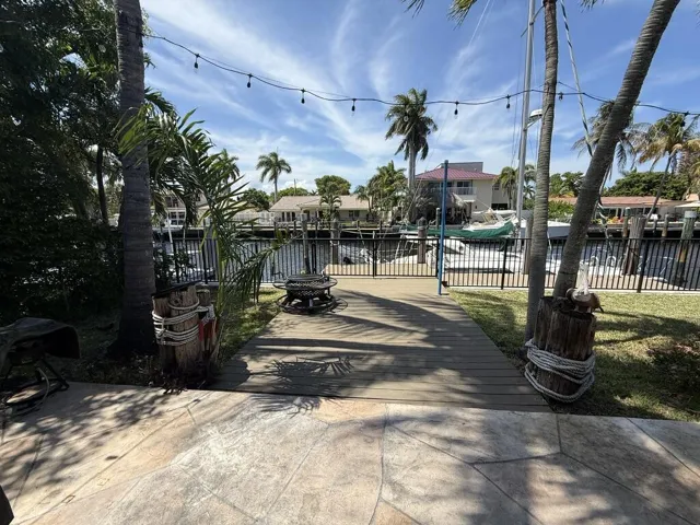 Back Yard 5