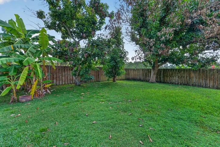 Expansive grassy yard featuring a wood privacy fence, mature trees, and tropical foliage