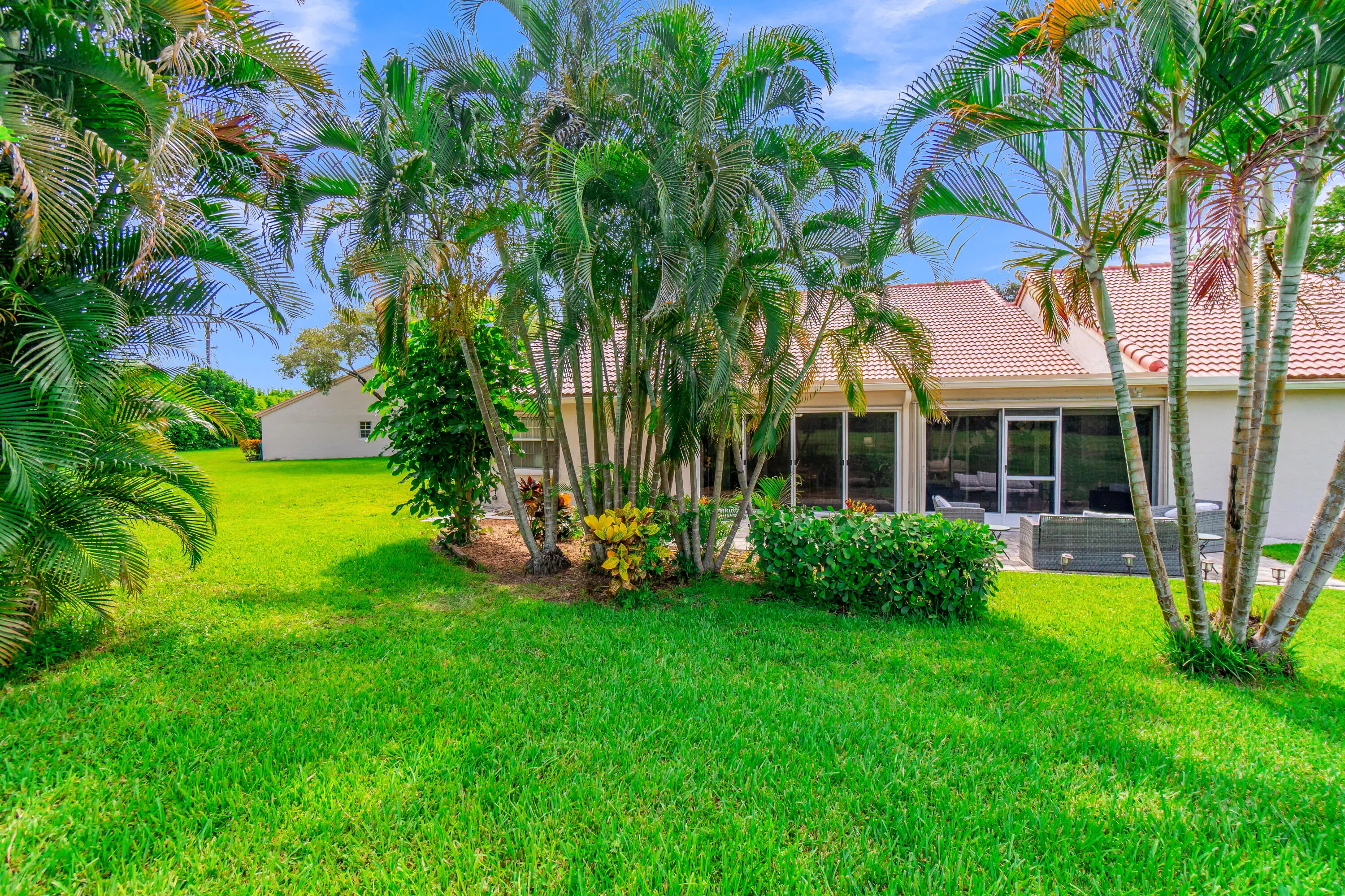 Expansive lawn area featuring mature palm trees and established landscaping