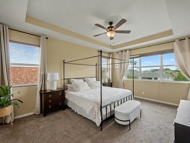 Tray ceiling with a ceiling fan, broad windows, and carpeted flooring