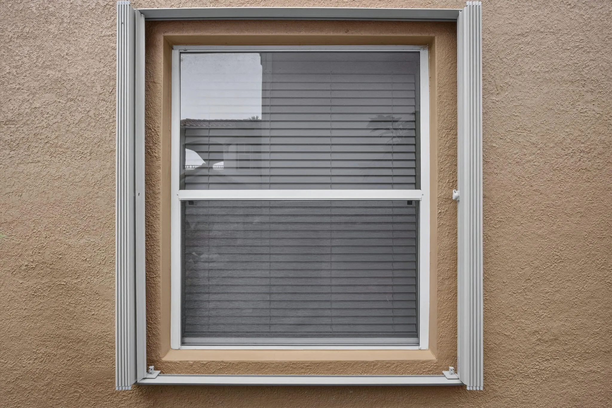 87-web-or-mls-BS1A3519