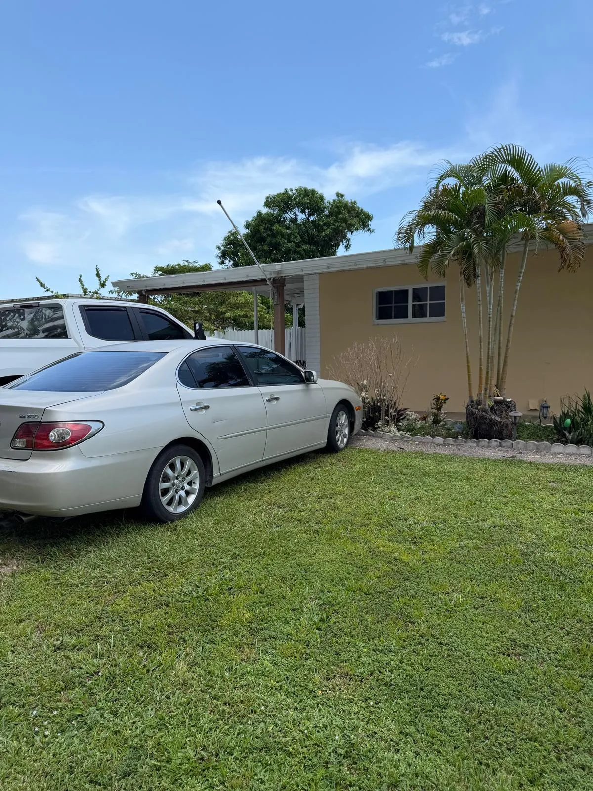 Driveway