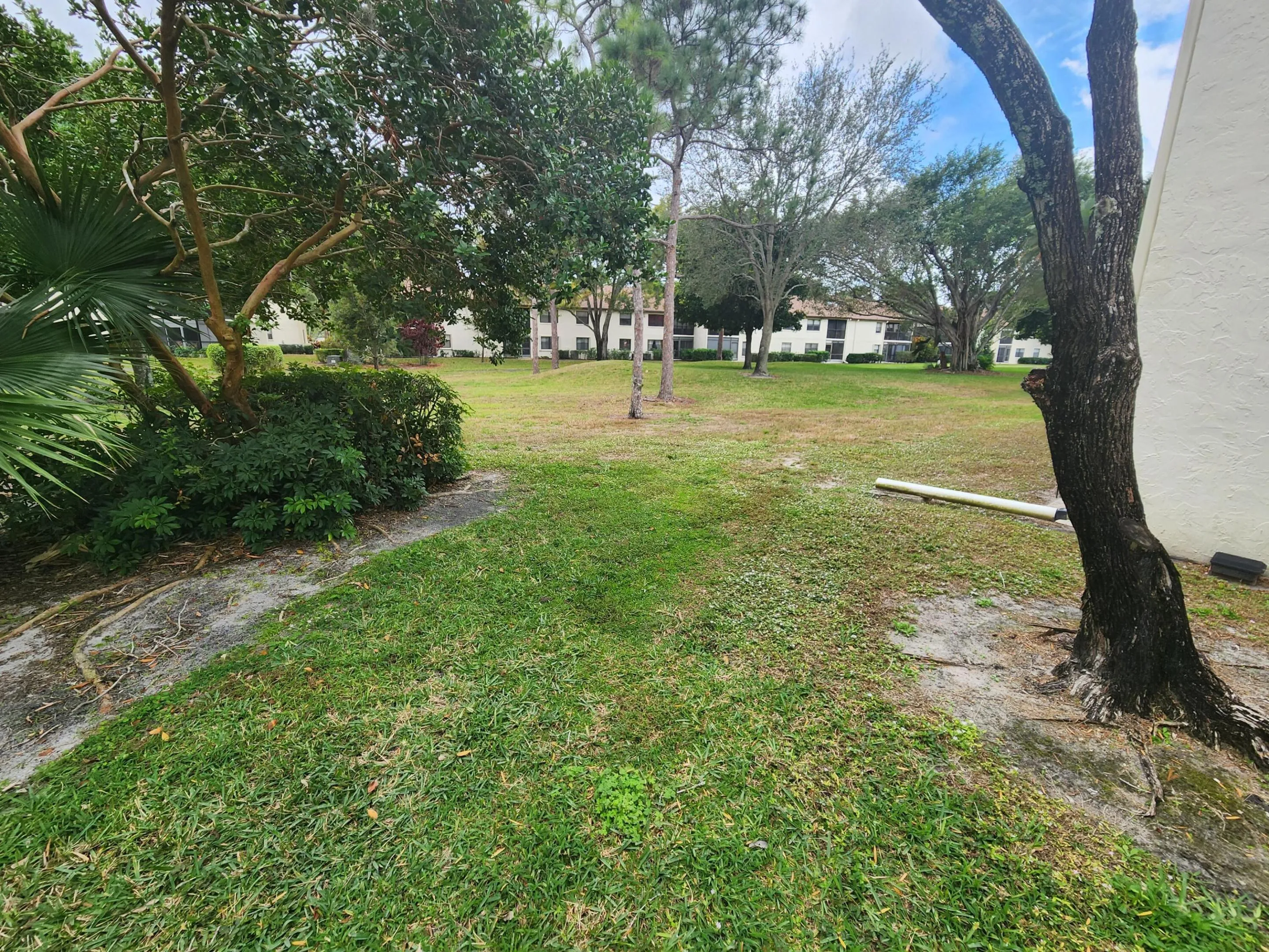 Back of Condo
