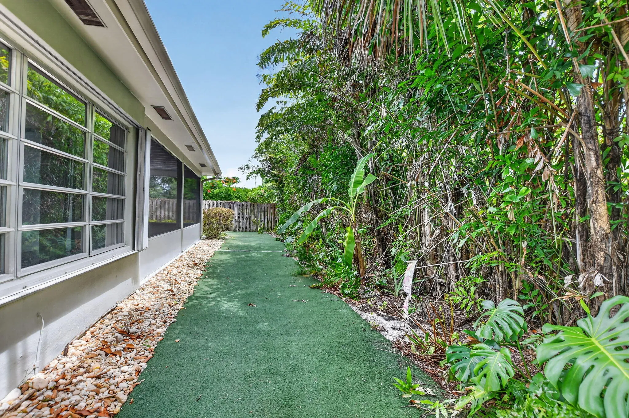 Backyard