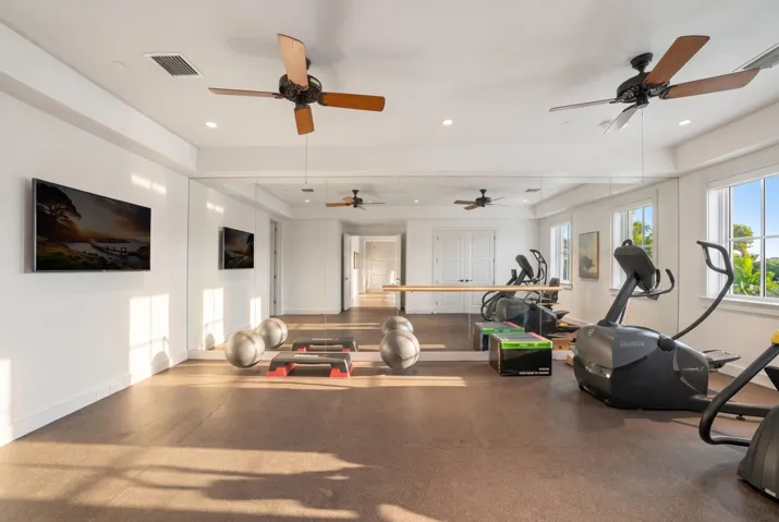 Guest Bedroom / Fitness