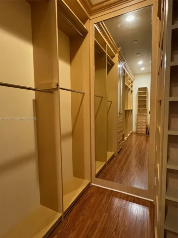 Master Closet 2
