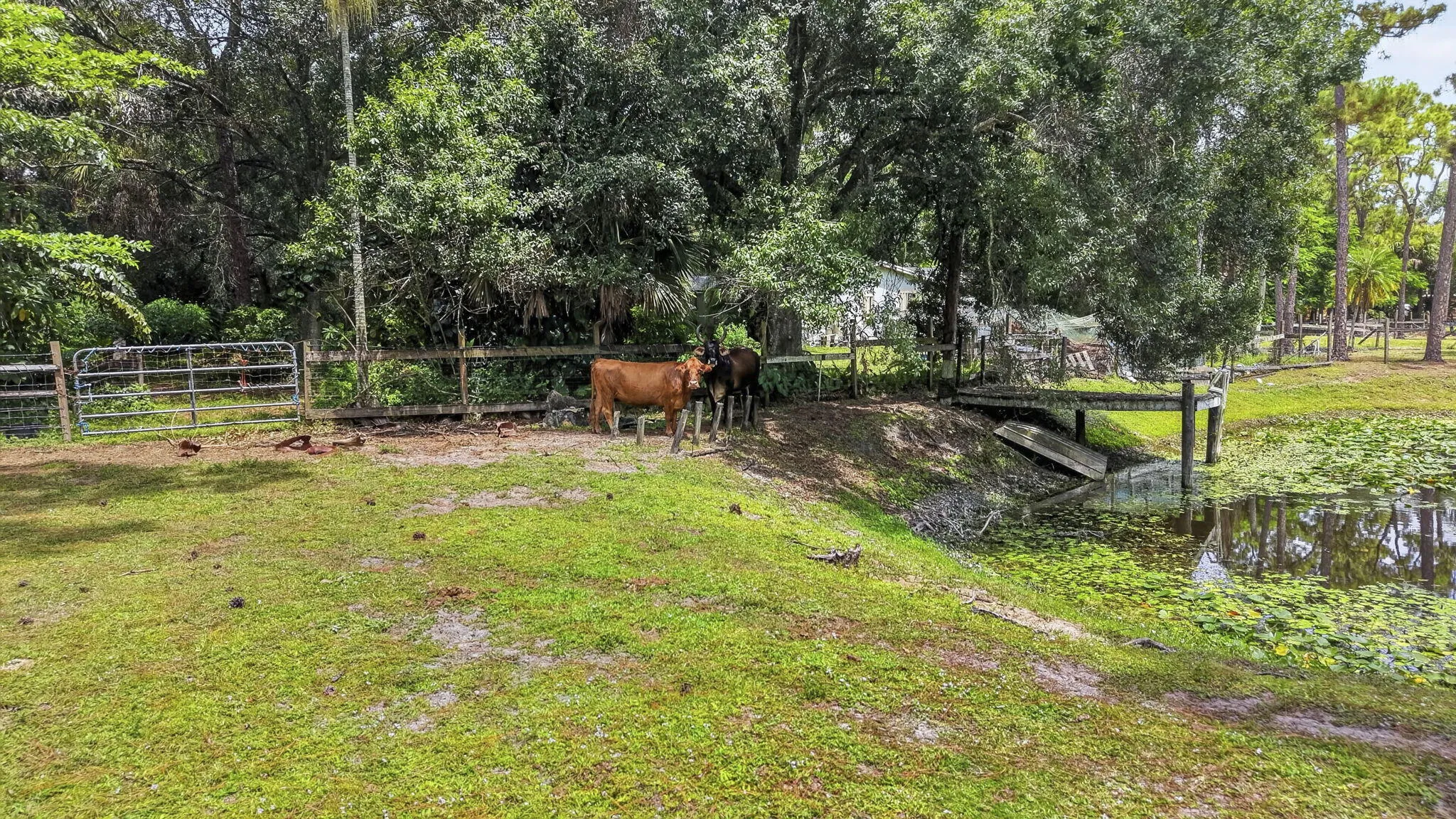 112-web-or-mls-DJI_20260803143515_0290_D