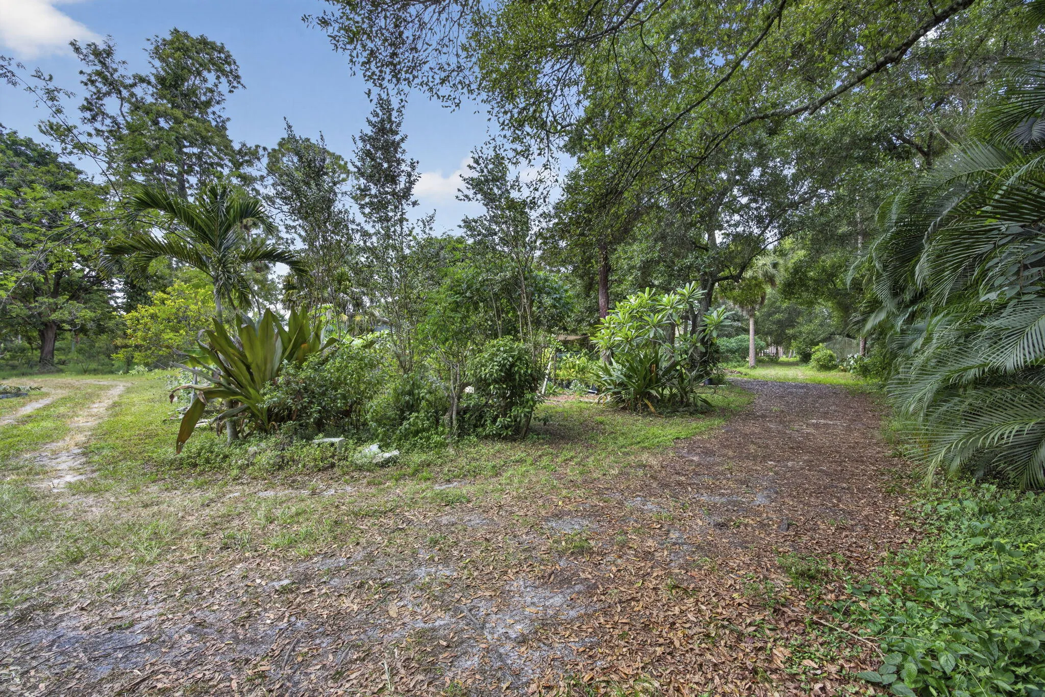 31-web-or-mls-BS1A0494