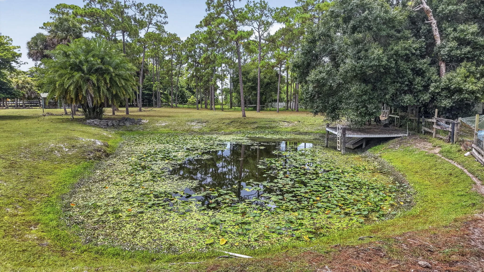 115-web-or-mls-DJI_20260803143553_0306_D