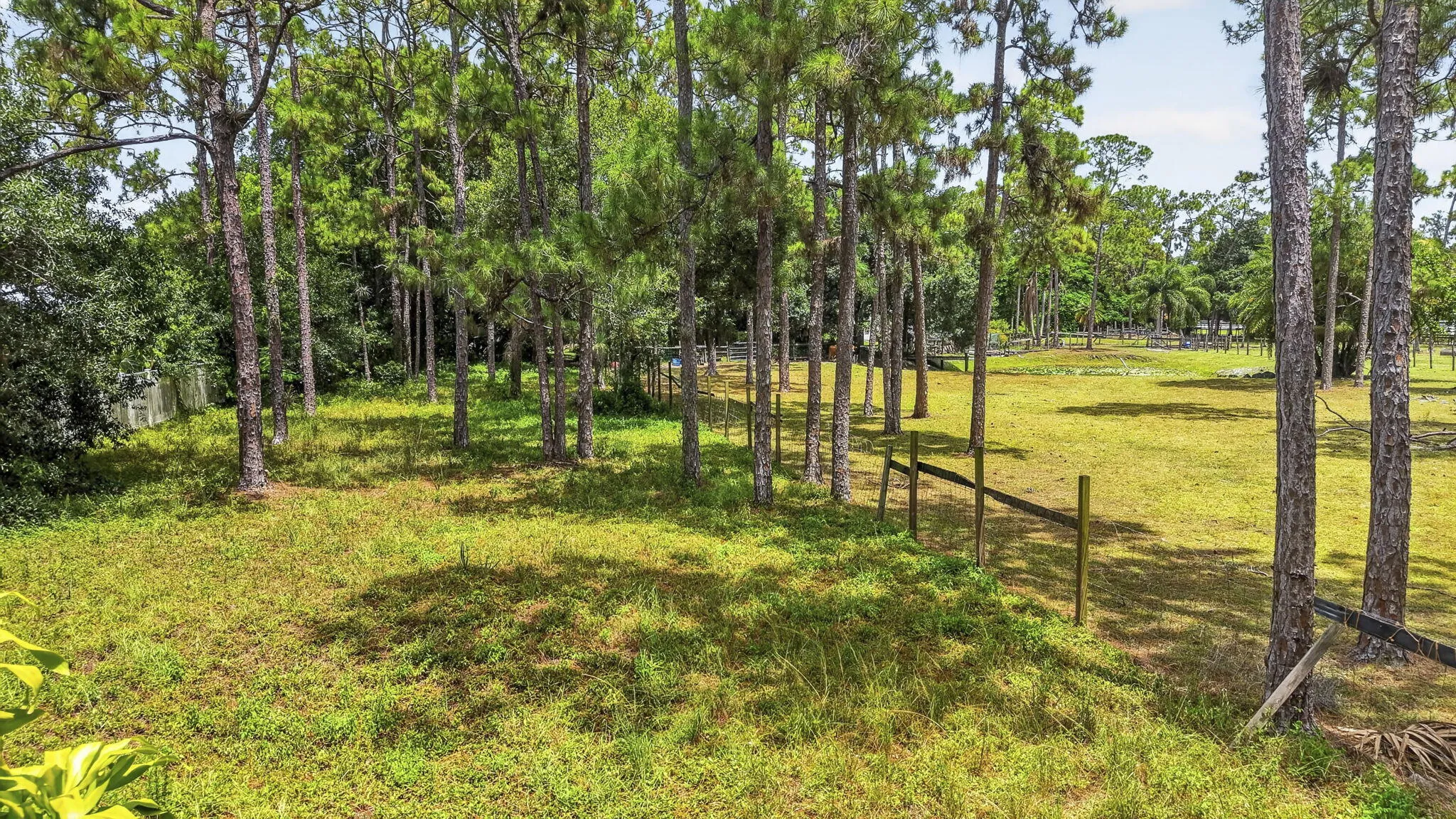 110-web-or-mls-DJI_20260803143453_0282_D