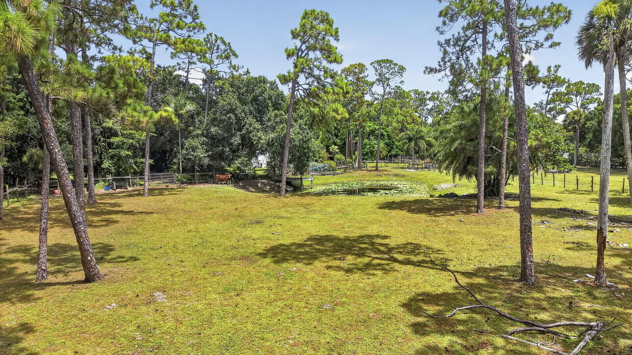 111-web-or-mls-DJI_20260803143503_0285_D