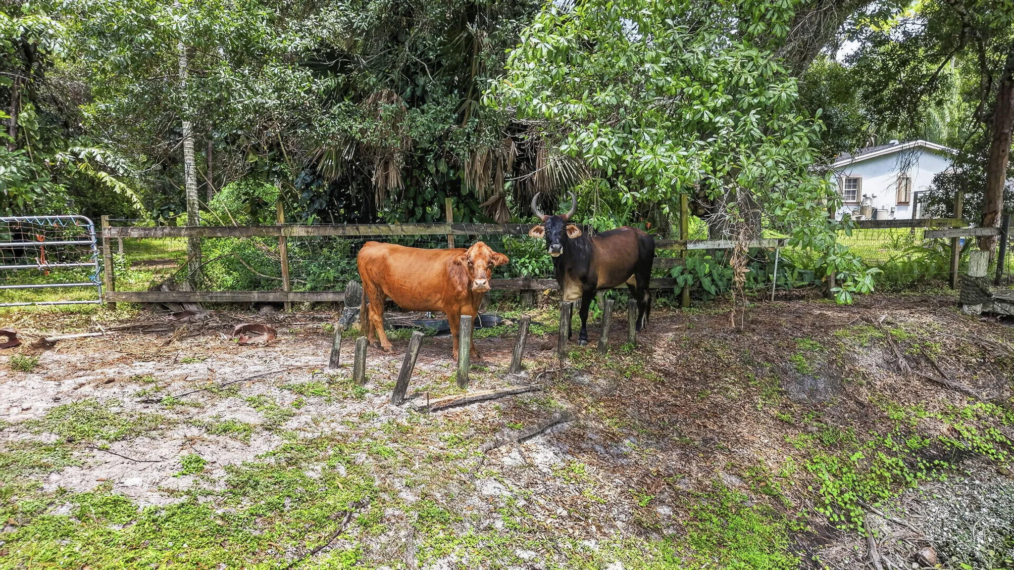 113-web-or-mls-DJI_20260803143523_0295_D