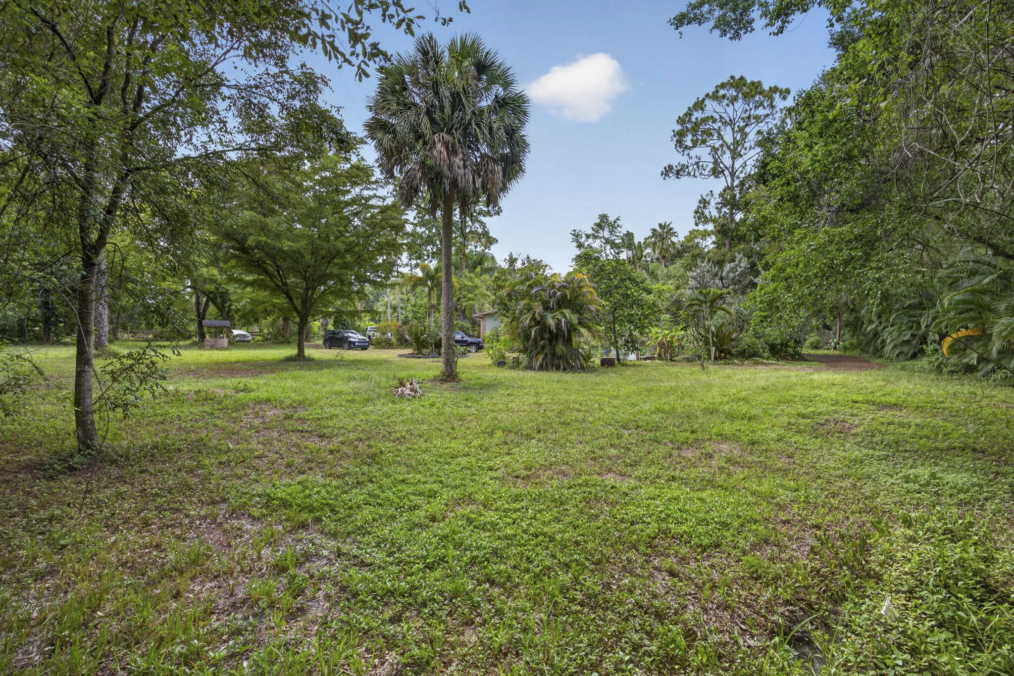44-web-or-mls-BS1A0559