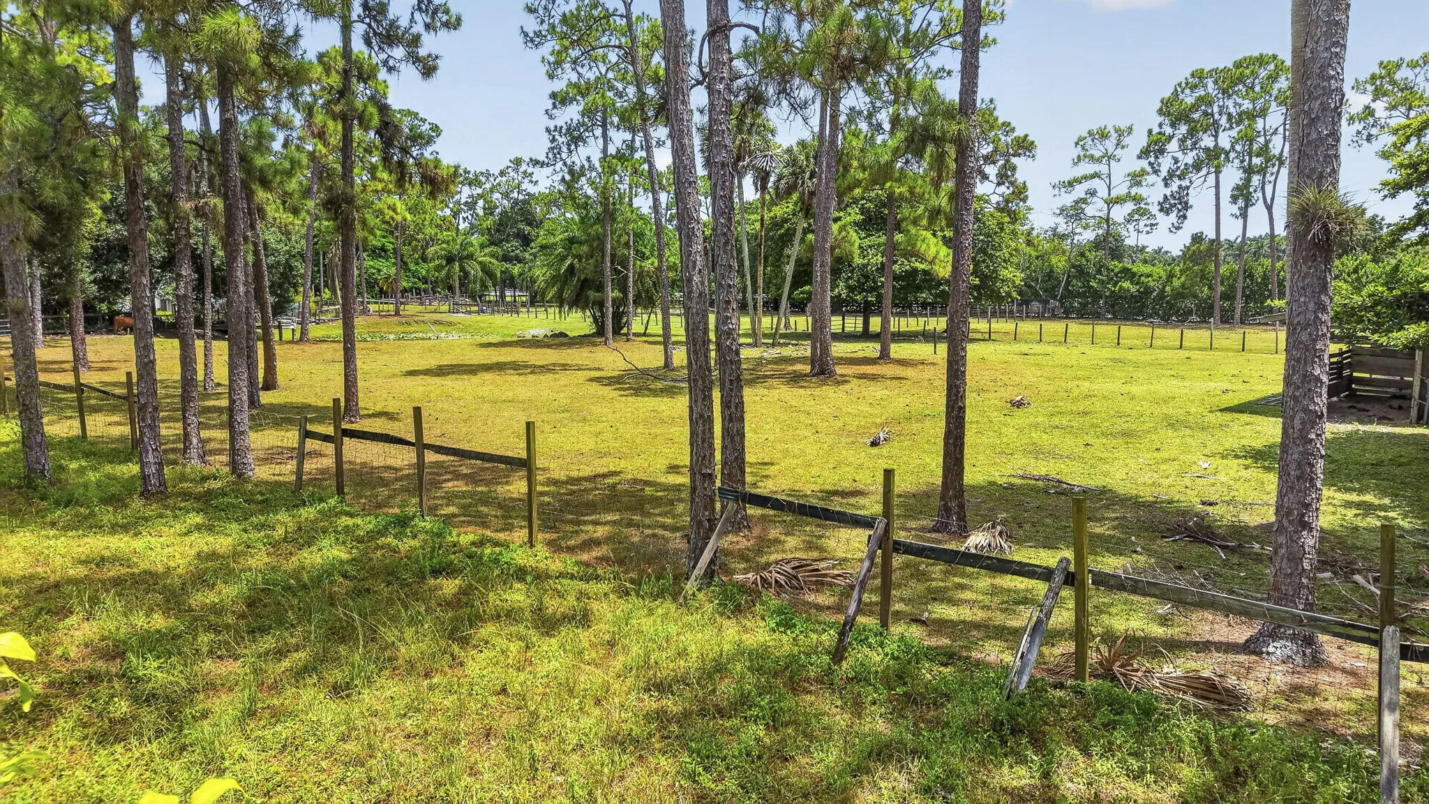 109-web-or-mls-DJI_20260803143449_0276_D
