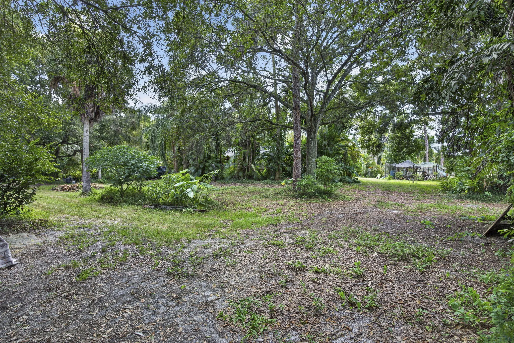 21-web-or-mls-BS1A0445