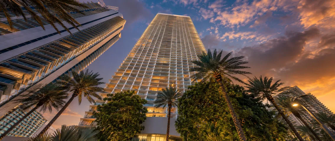 Jade Signature Among Palms Early Evening