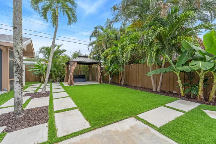 Turf Backyard