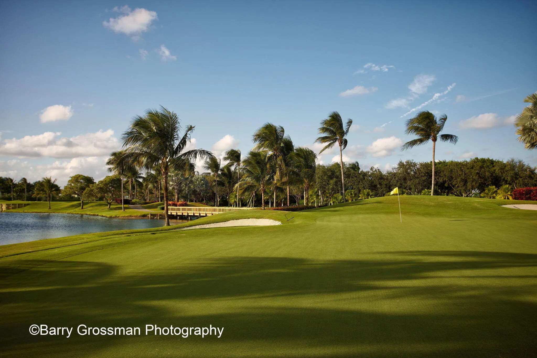 46-web-or-mls-Woodfield Golf
