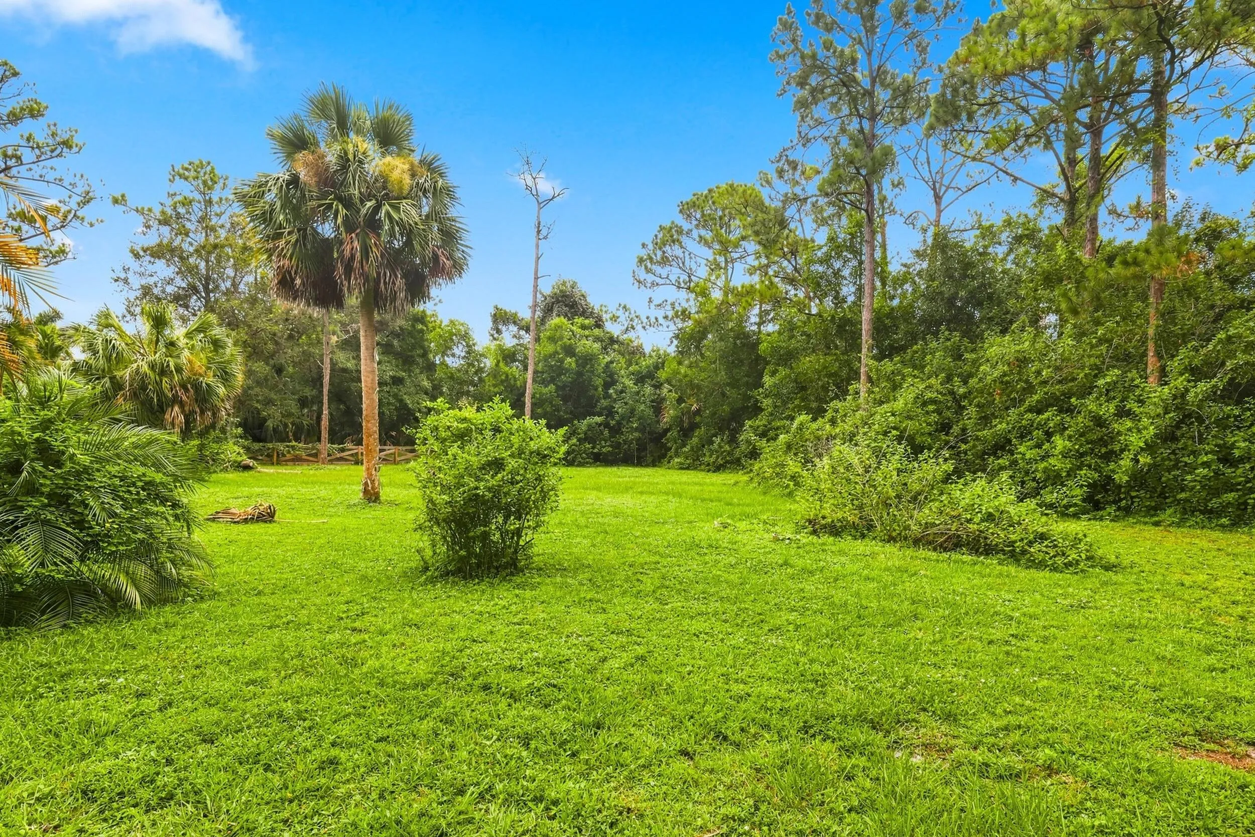 Property photo 39