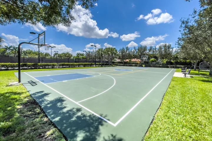 Basketball