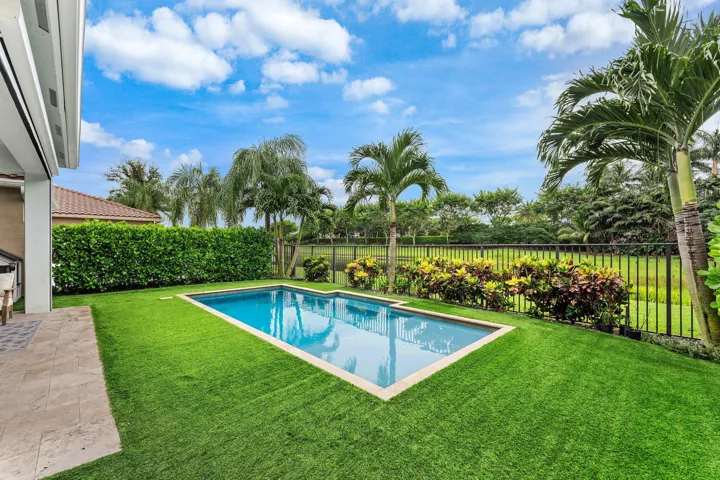 Beautiful Turf Yard