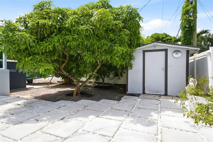 Backyard Shed and Mango Tree