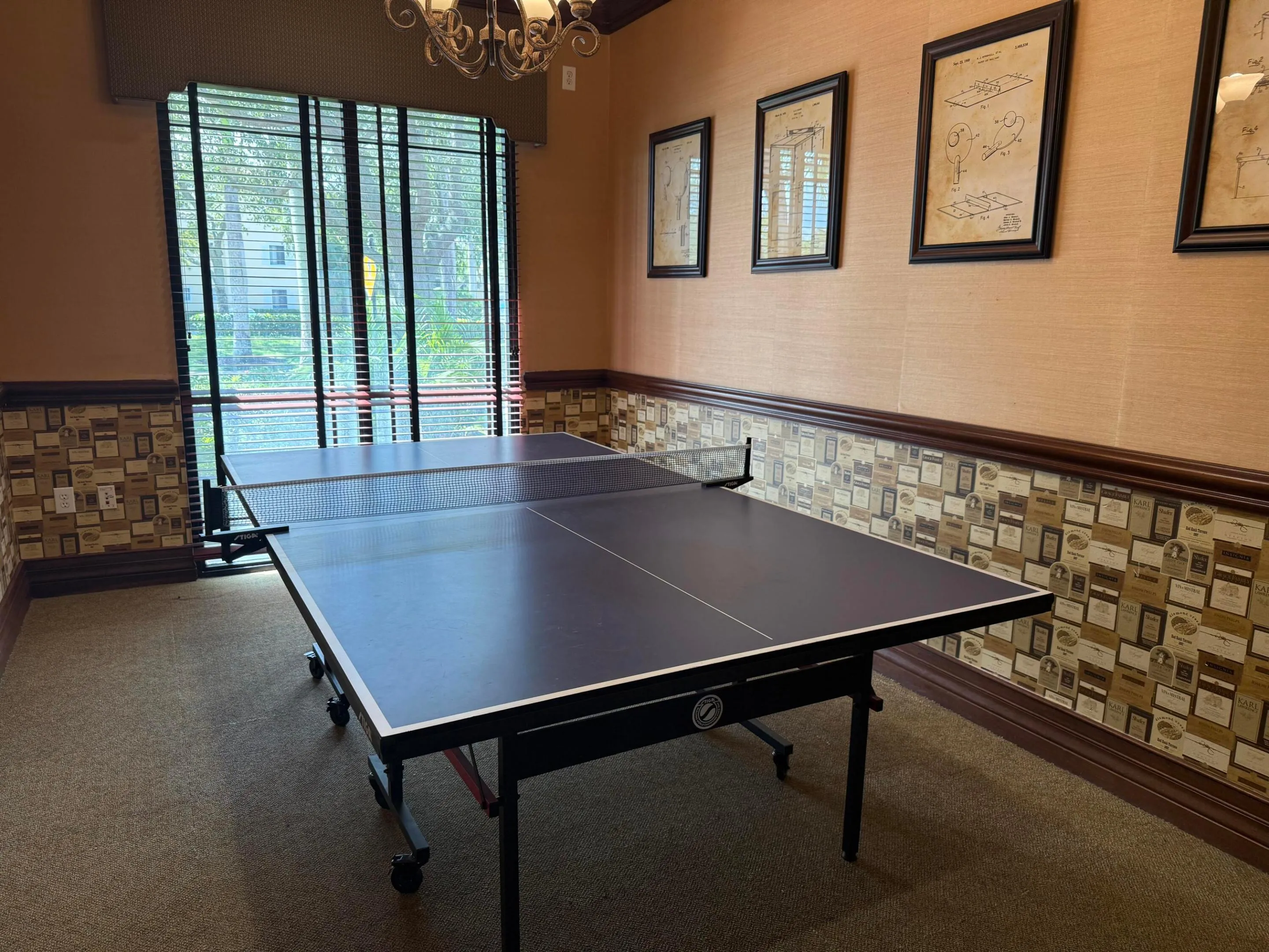 Ping Pong Table