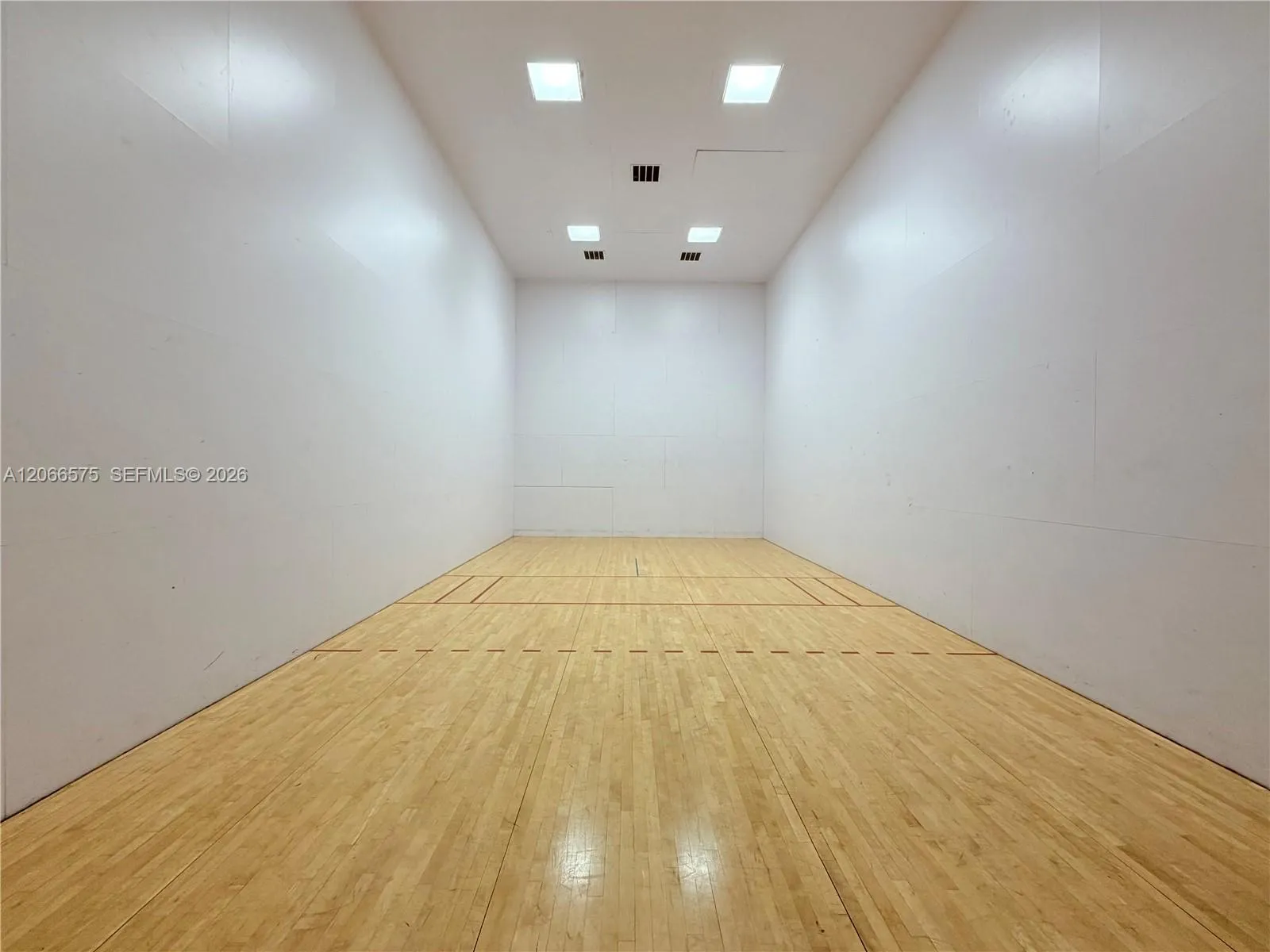 Racket ball court