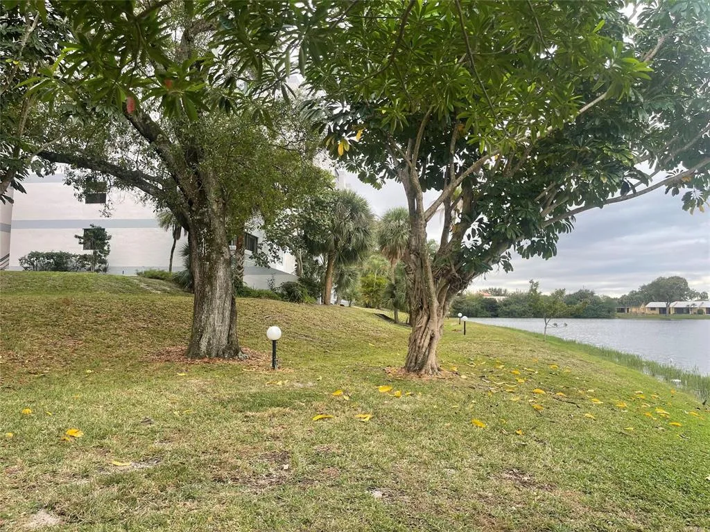3301 SPANISH MOSS 610- PIC 3