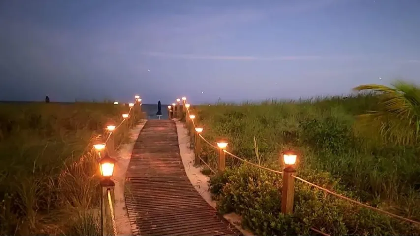 Pathway Night
