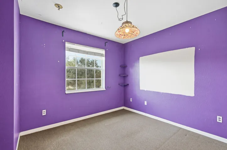 Vibrant bedroom featuring bold purple walls, white ceiling trim, and neutral carpet flooring