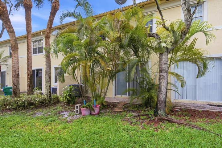 Manicured lawn with mature palm trees and established tropical foliage