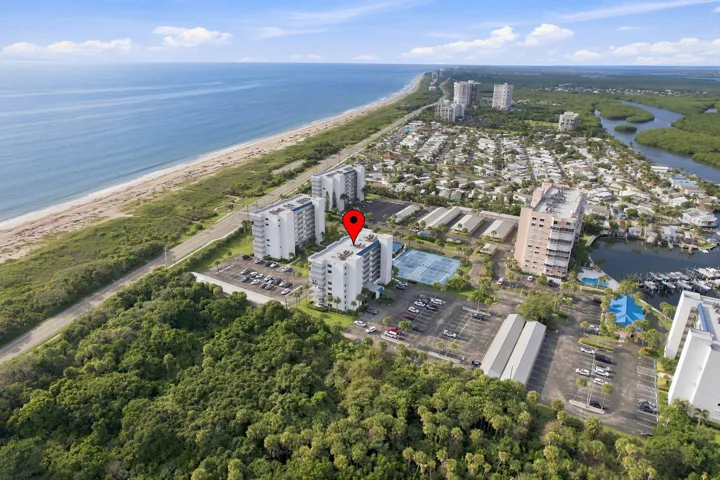 3-web-or-mls-DJI_002-topaz