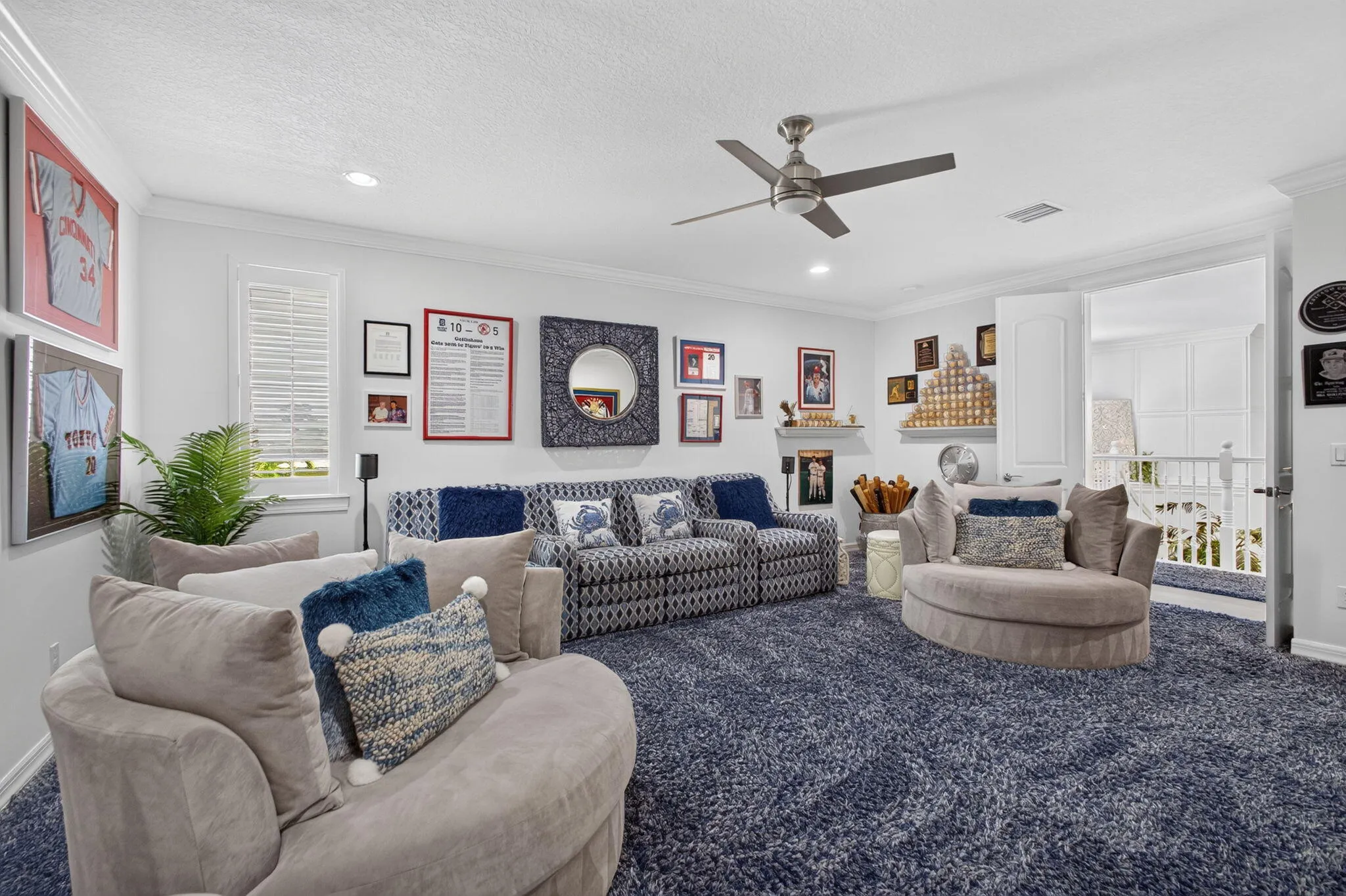 Media Room/Man Cave