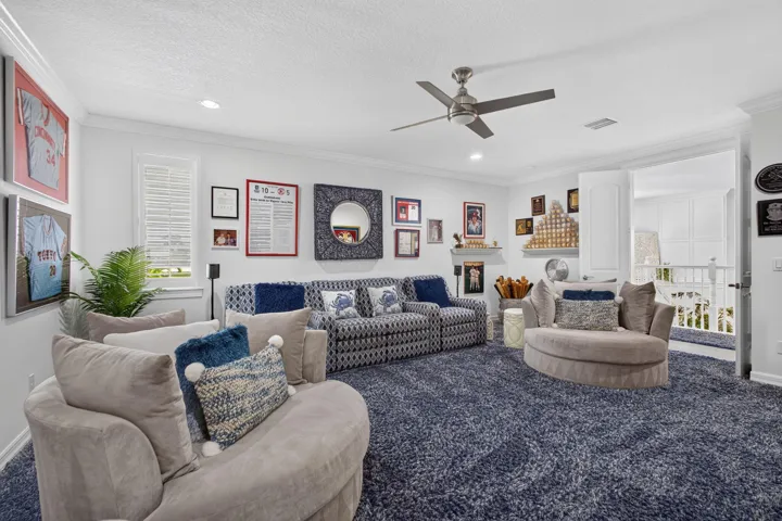 Media Room/Man Cave