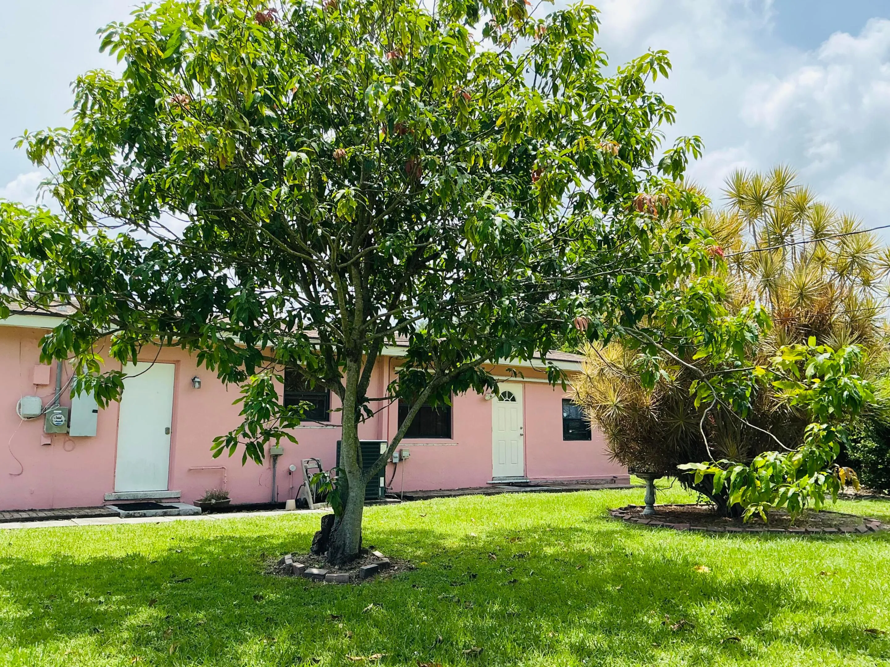 Beautiful CASA. NO HOA. Fully fenced.