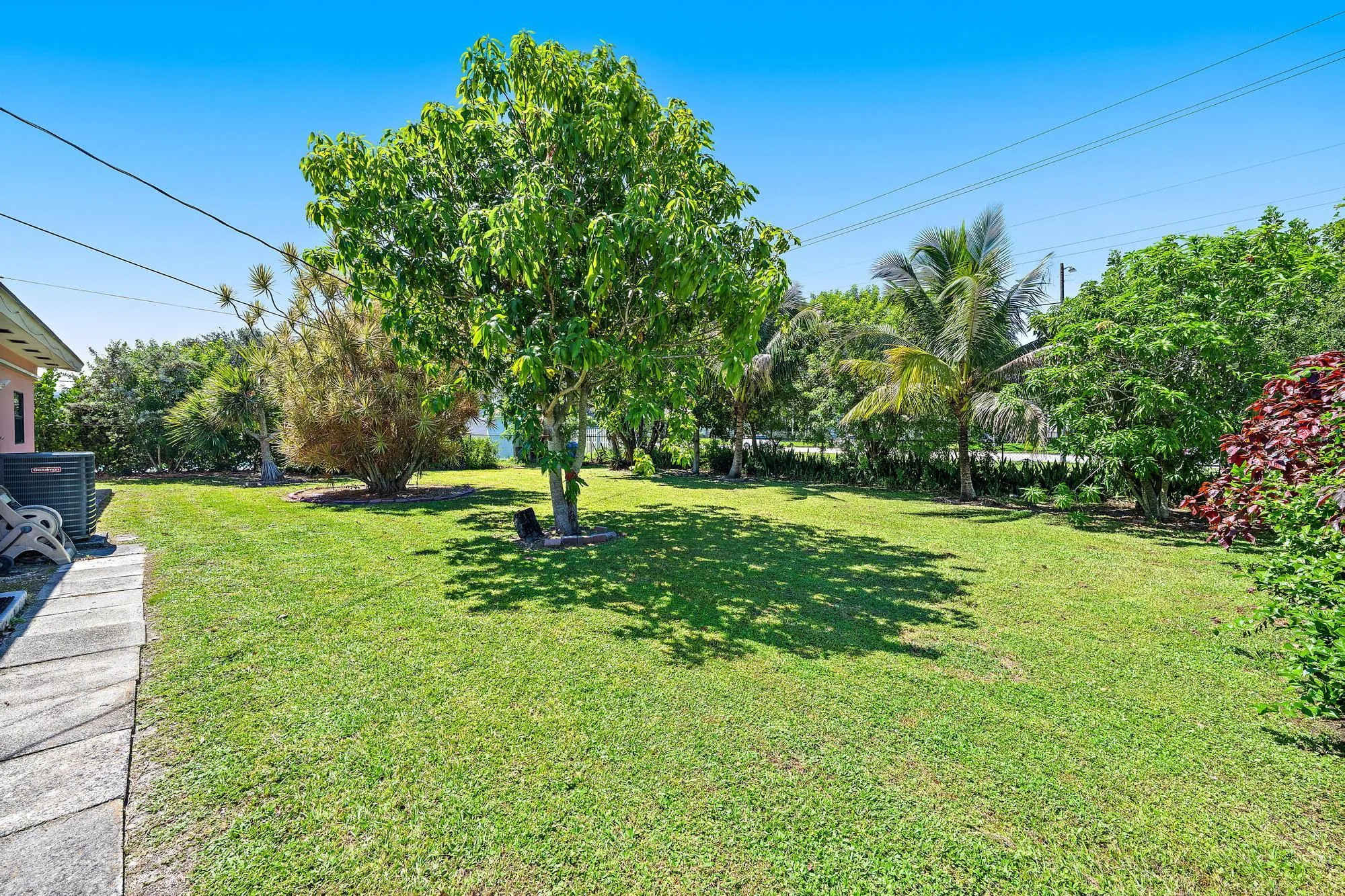 Fruit tress. Landscaping is included in your monthly rent