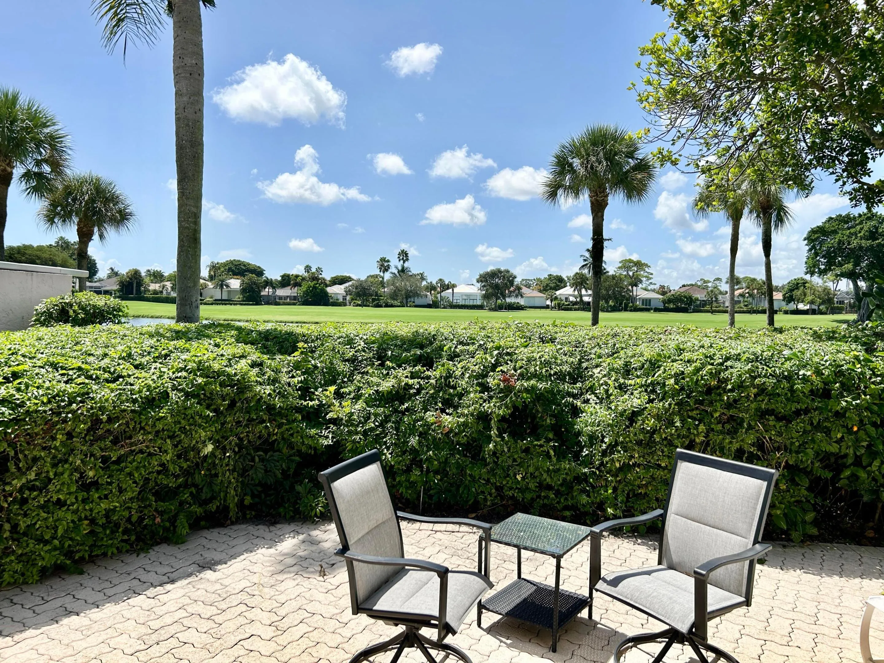 backyard view