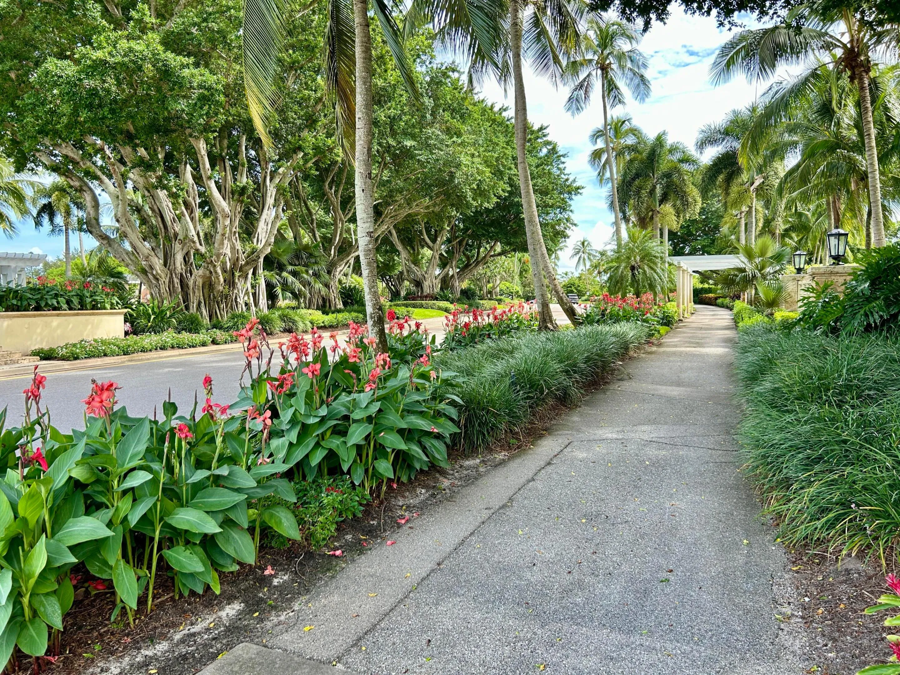 sidewalk