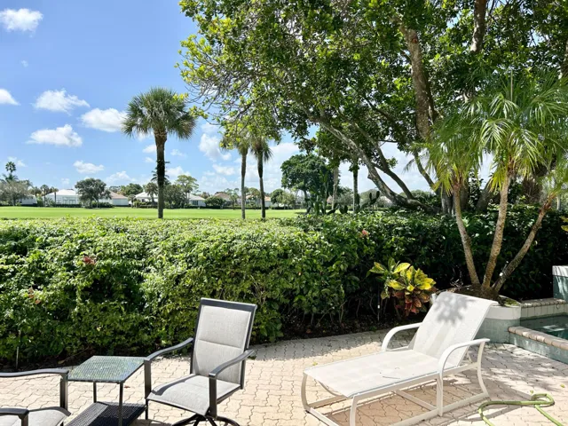 backyard view 2