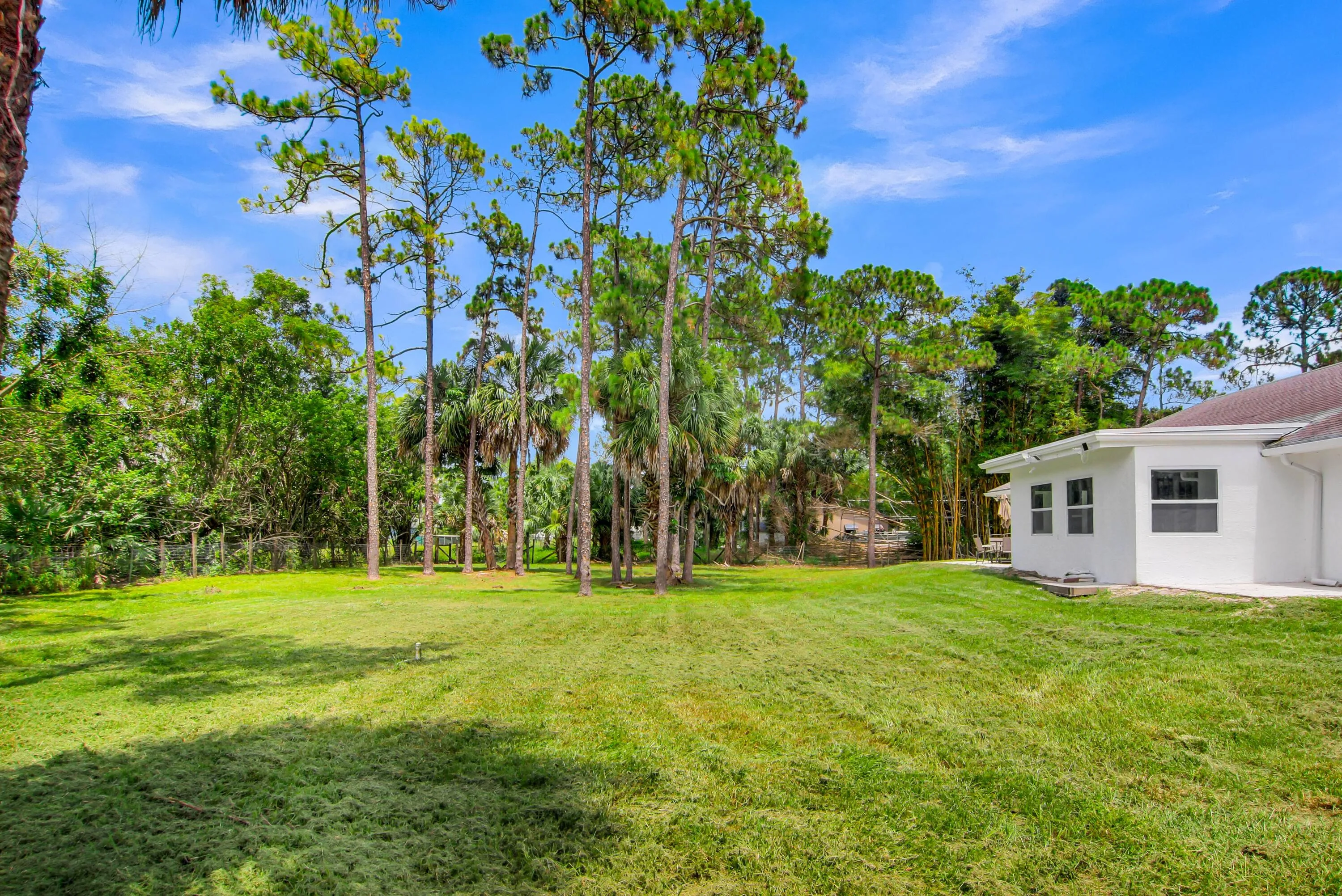 Property photo 41