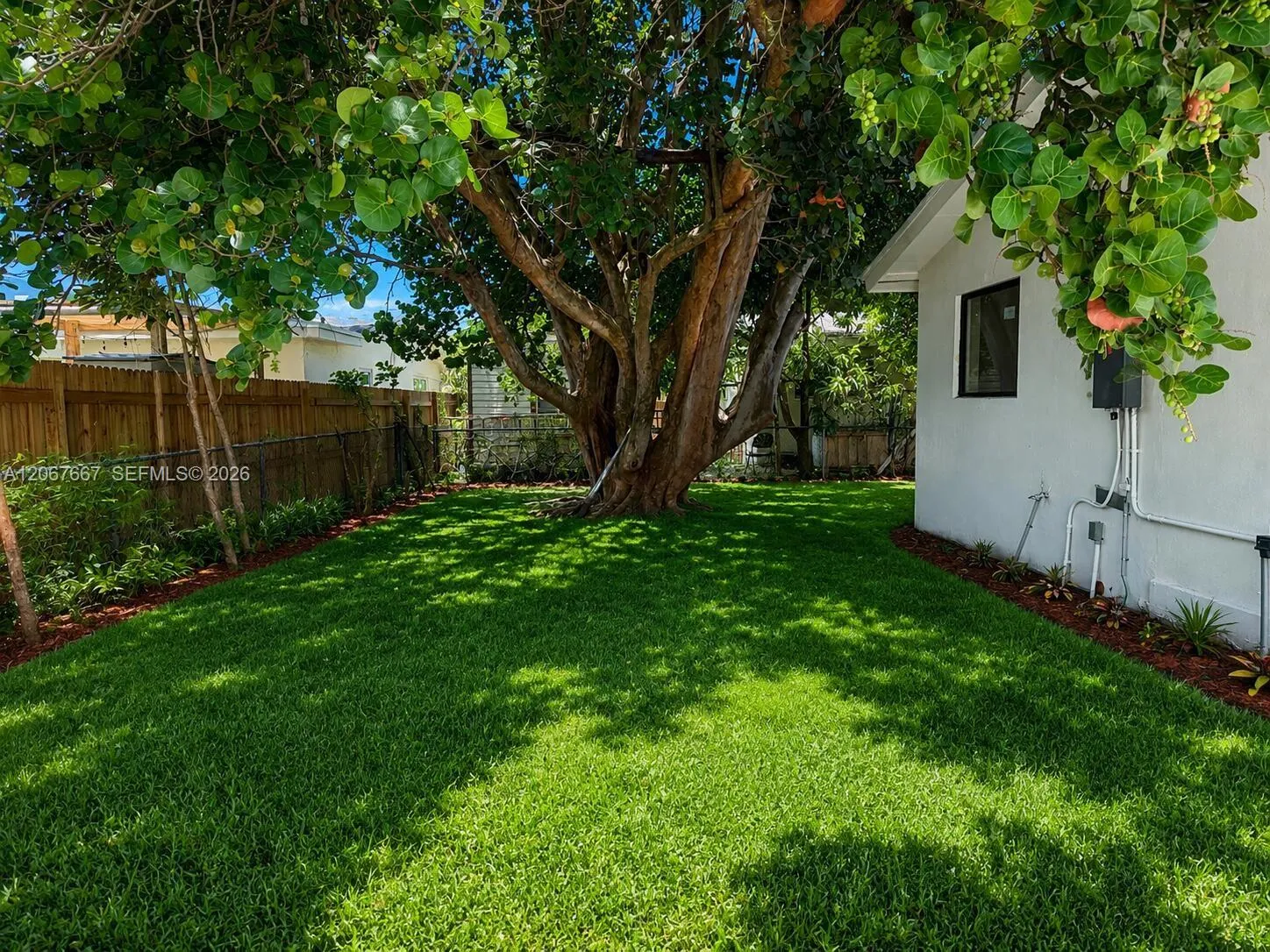 Photo 32