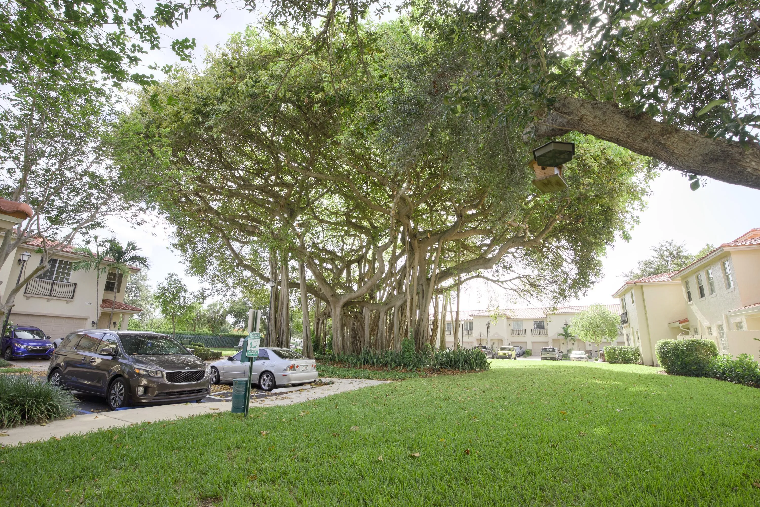 Park