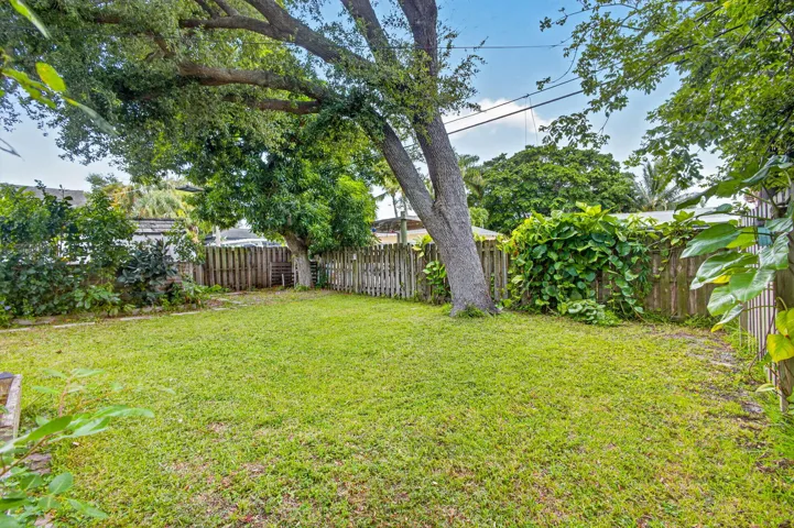 45-web-or-mls-5D1A5176