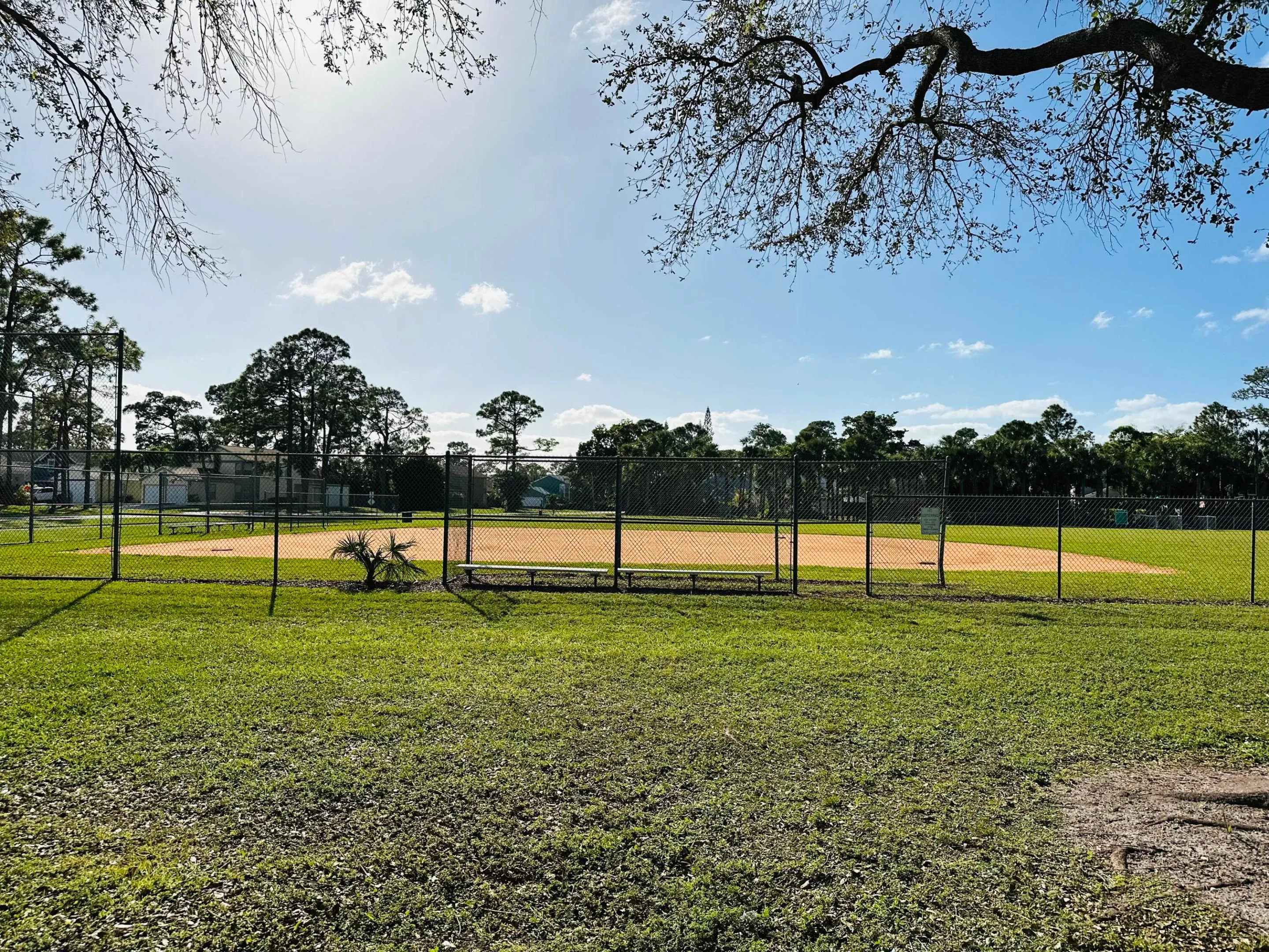Soccer field