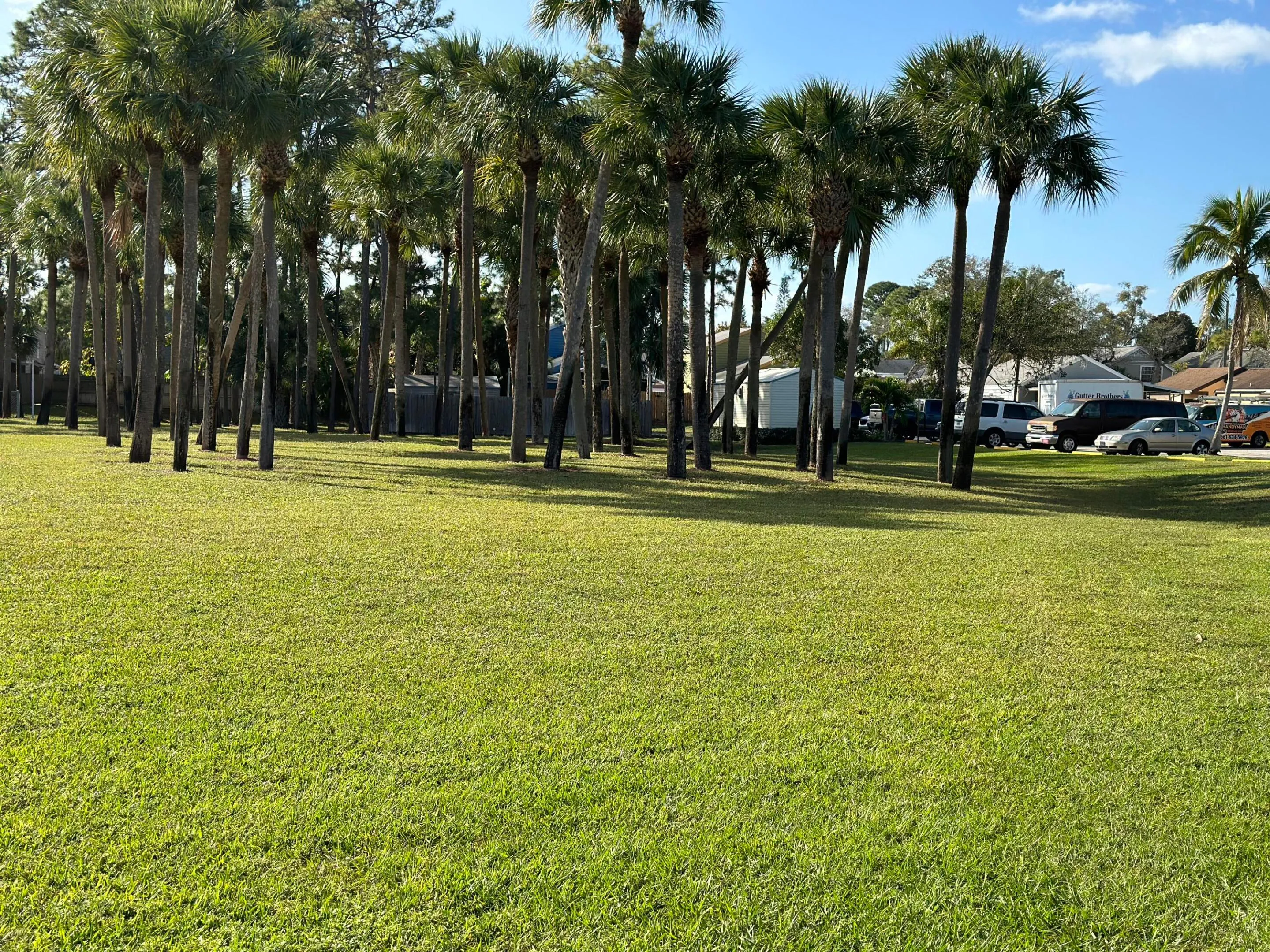 greenery